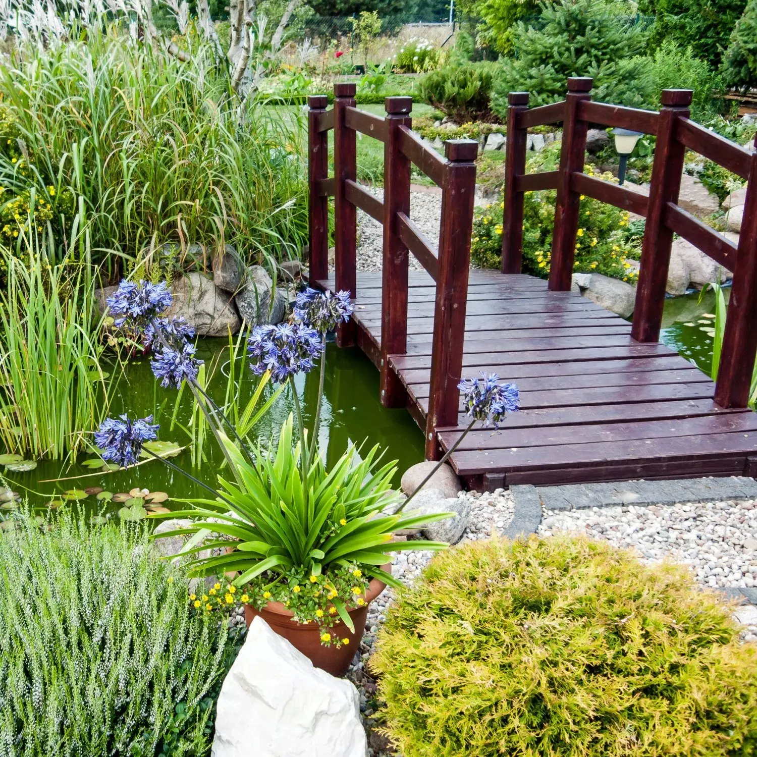STILISTA Zierbrücke Holzbrücke Gartenbrücke Teichbrücke Dekobrücke, 150 x 65 x 53 cm, mit Geländer, geölt, Farbwahl