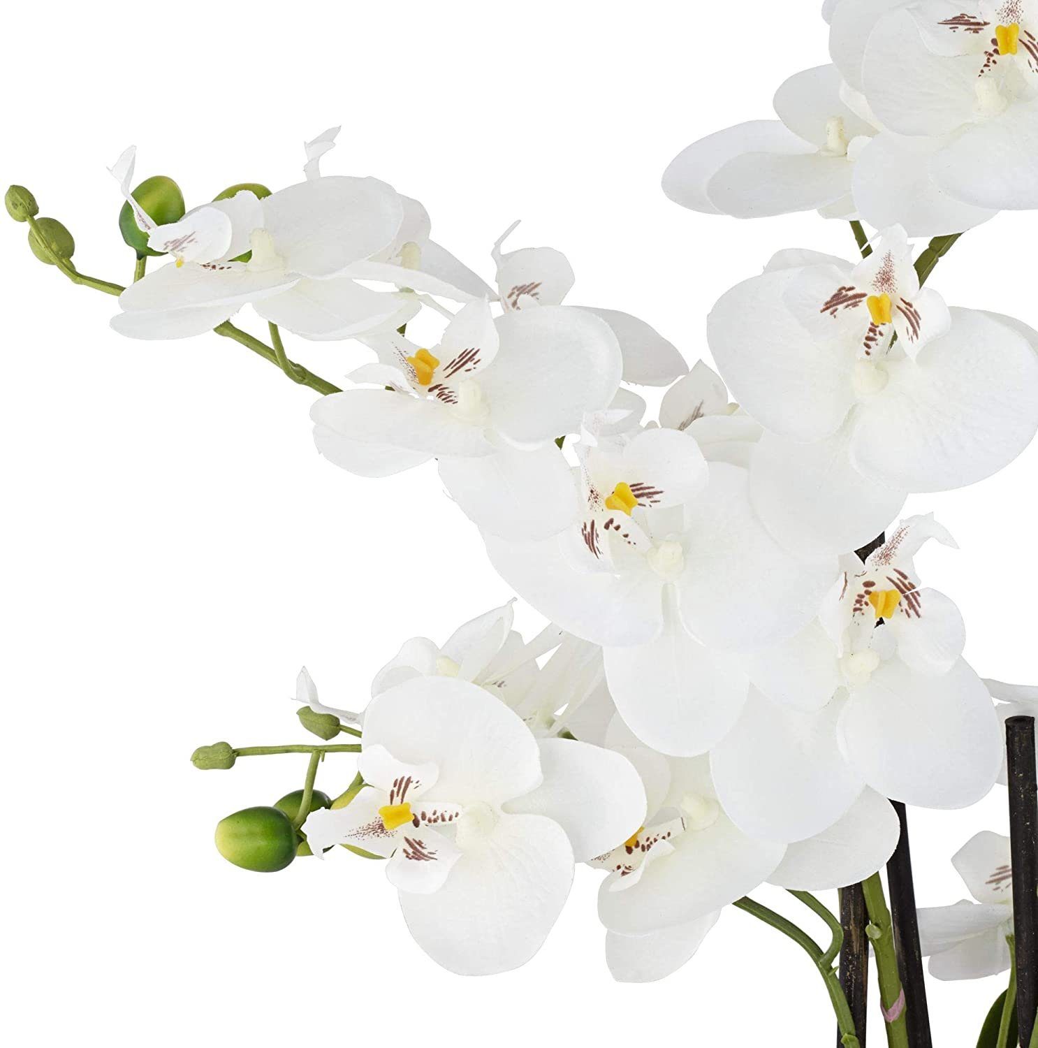 Kunstorchidee Kunstpflanze Orchidee Orchidee, Creativ green, Höhe 55.00 cm, im Keramiktopf