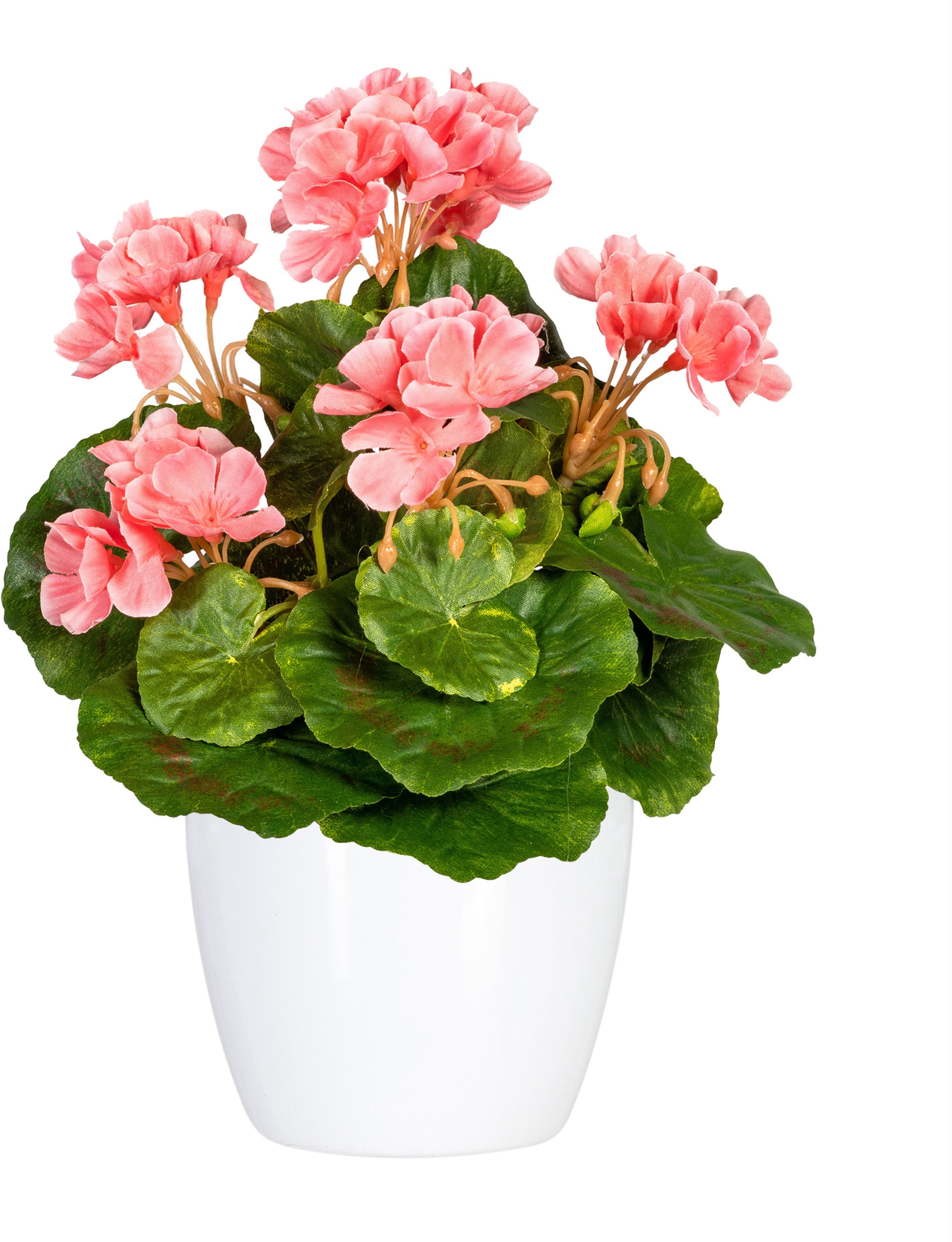 Kunstpflanze Havel Geranie, DELAVITA, Höhe 24 cm, im Topf, 2er Set