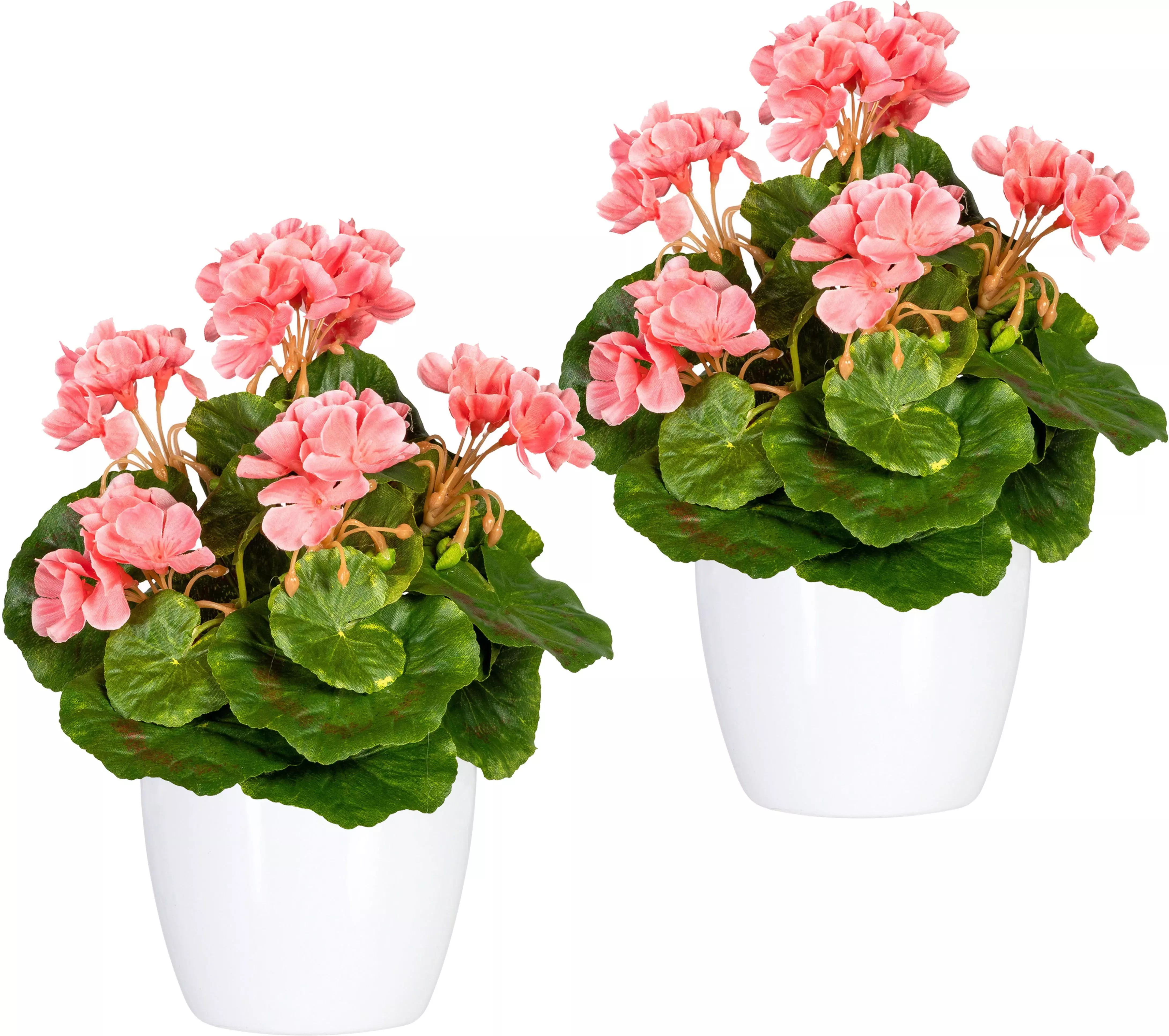 Kunstpflanze Havel Geranie, DELAVITA, Höhe 24 cm, im Topf, 2er Set