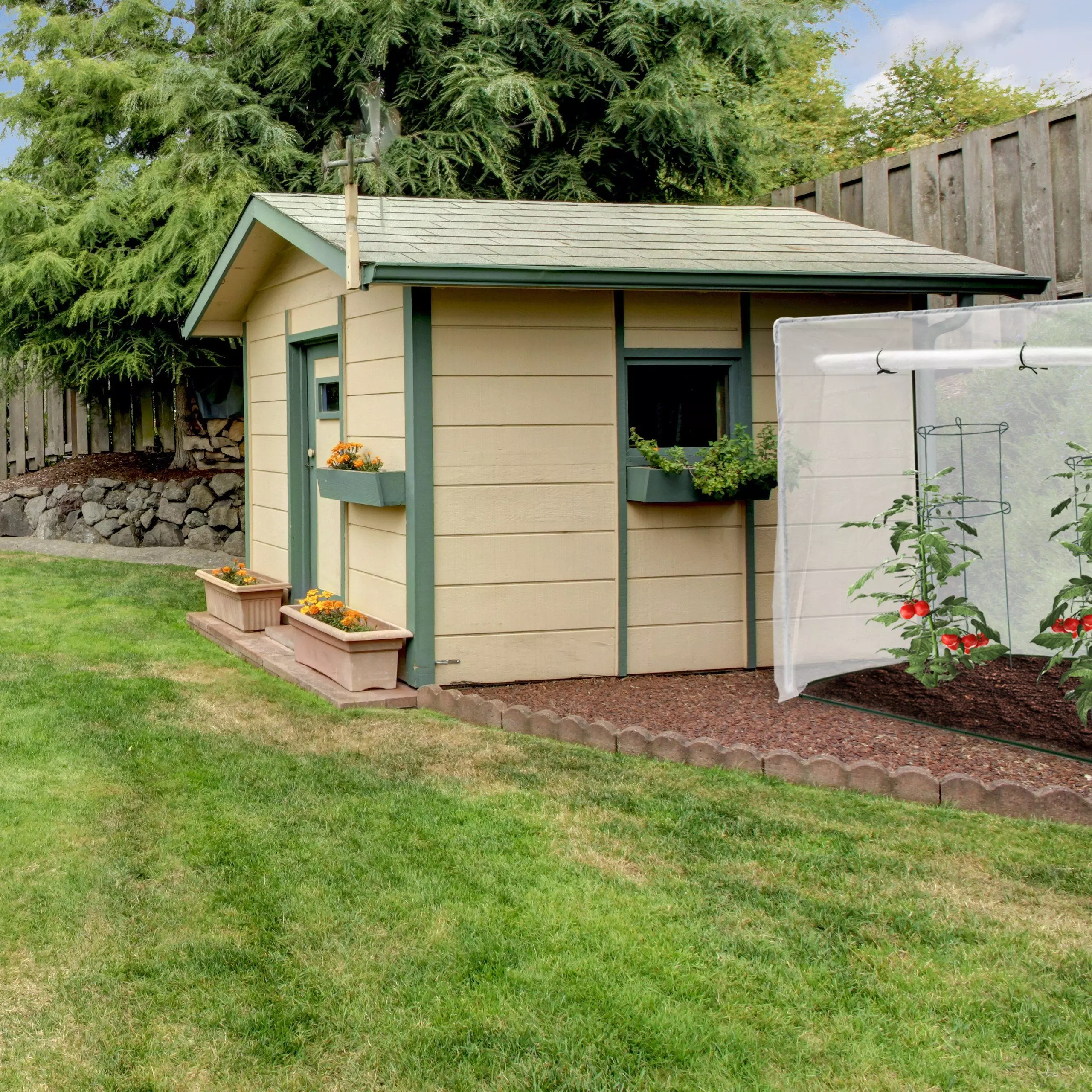 relaxdays Tomatengewächshaus Tomatengewächshaus XL mit Schrägdach