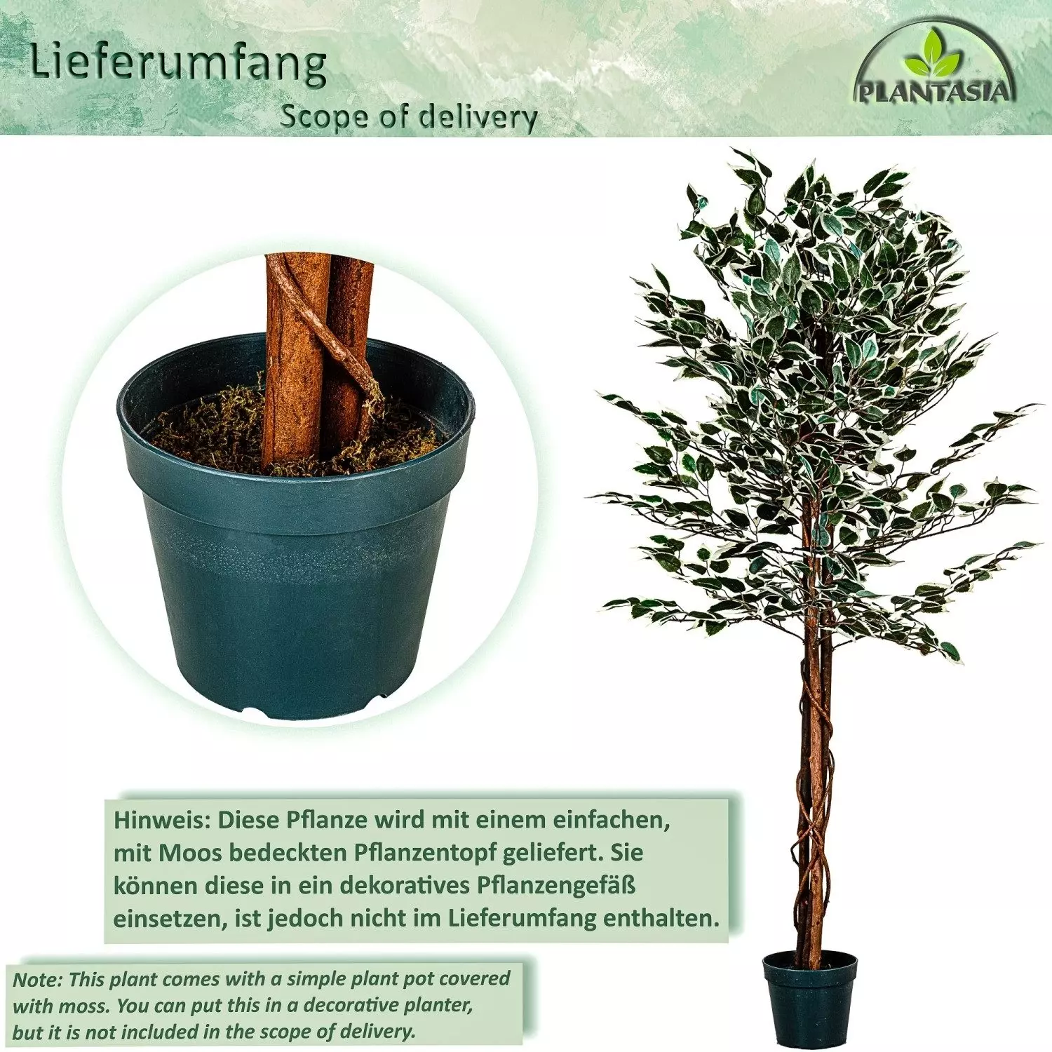 Kunstbaum Künstlicher Ficus Benjamini Ficusbaum Kunstpflanze Ficusbaum, PLANTASIA, Höhe 160,00 cm, 160 cm, 714 Blätter, Echtholzstamm, Größenwahl