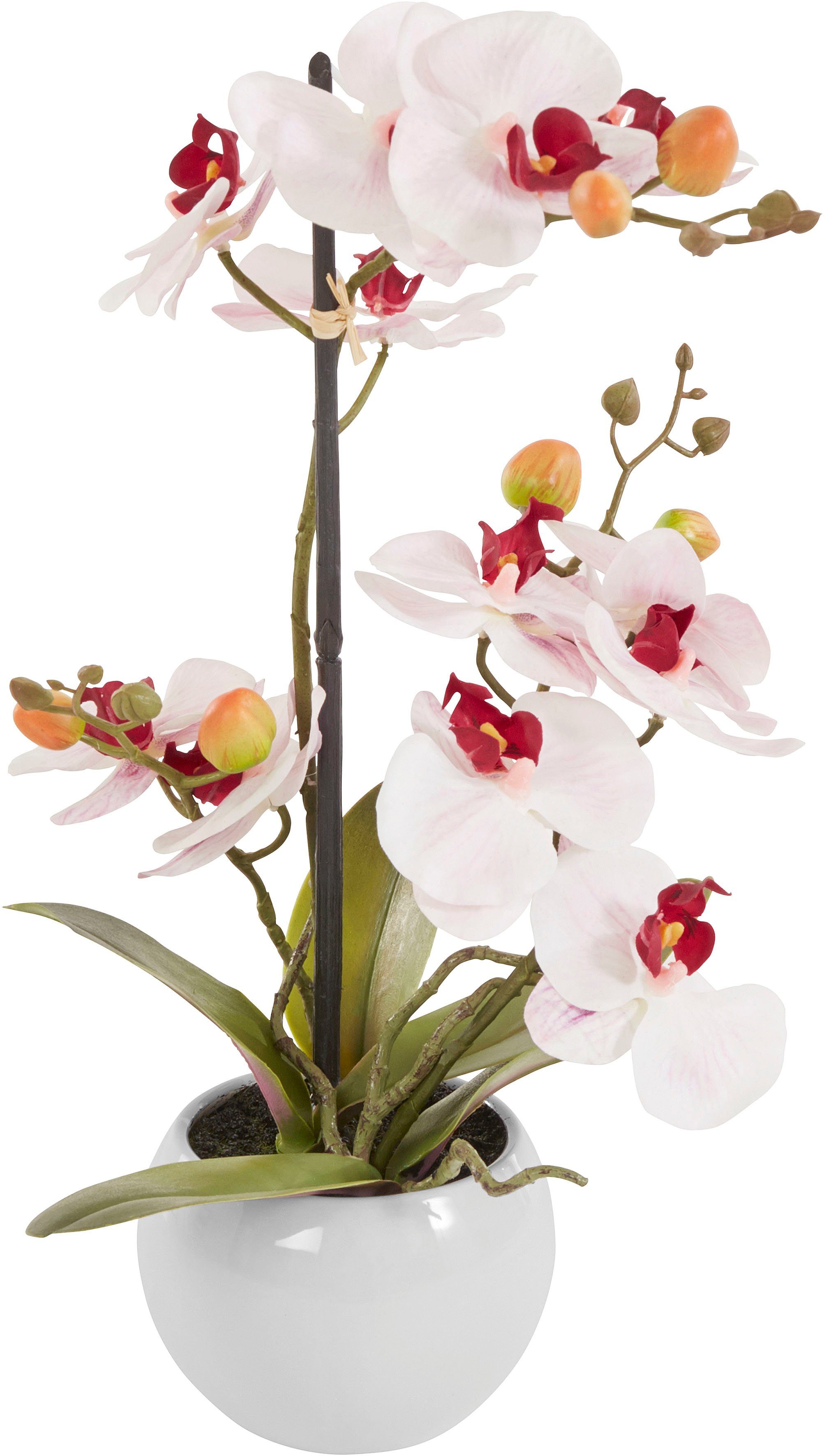 Kunstorchidee Ernestine Orchidee, DELAVITA, Höhe 42 cm, Kunstpflanze, im Topf