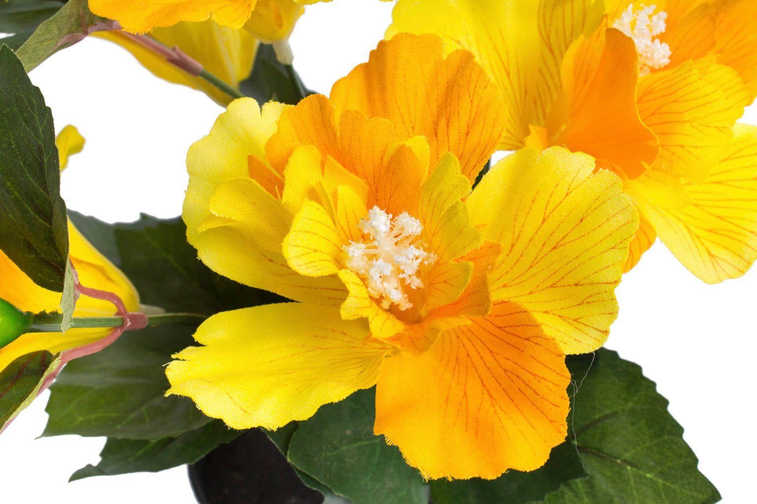 Kunstblume Hibiskus im Topf Hibiskus, Botanic-Haus, Höhe 27 cm