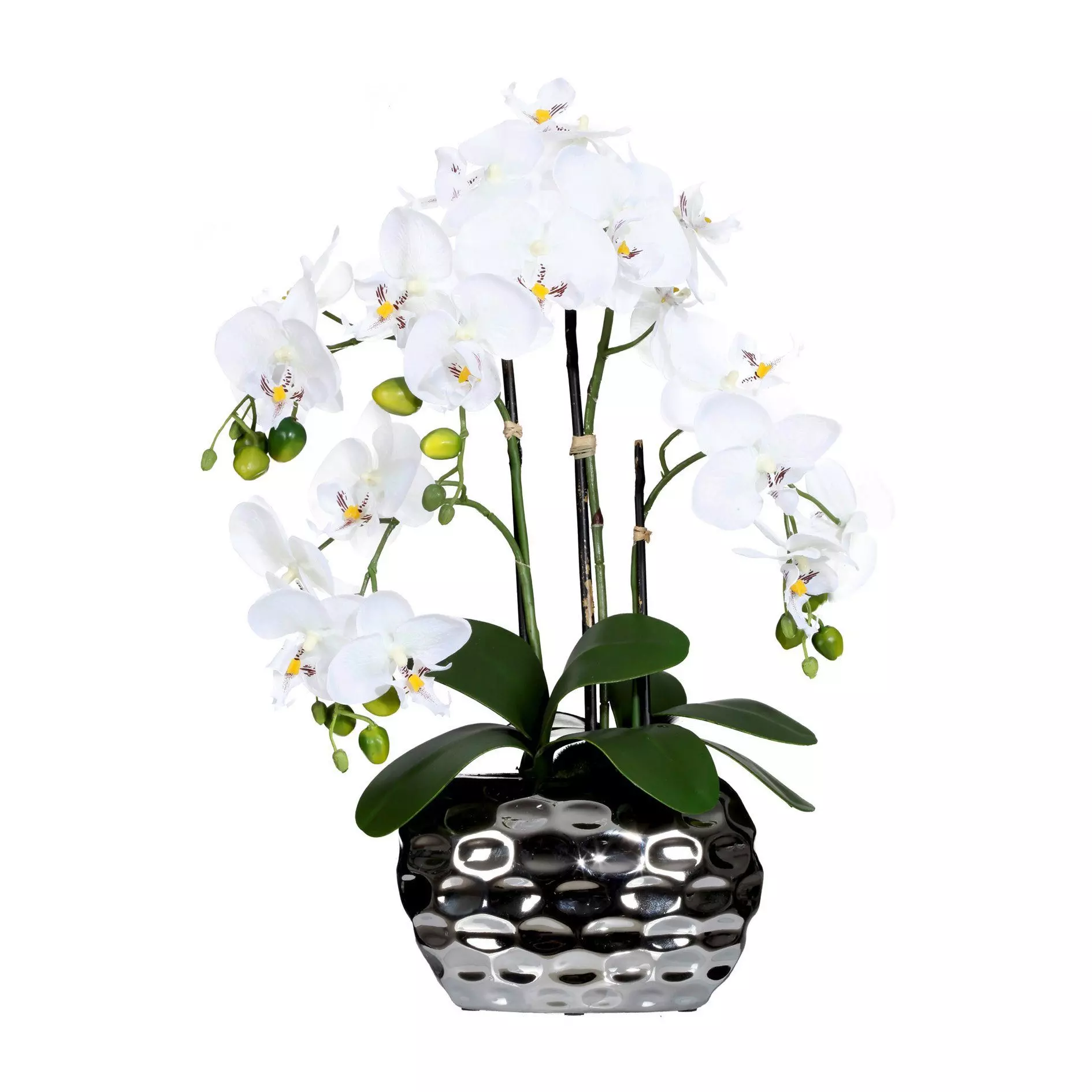 Kunstorchidee Kunstpflanze Orchidee Orchidee, Creativ green, Höhe 55.00 cm, im Keramiktopf