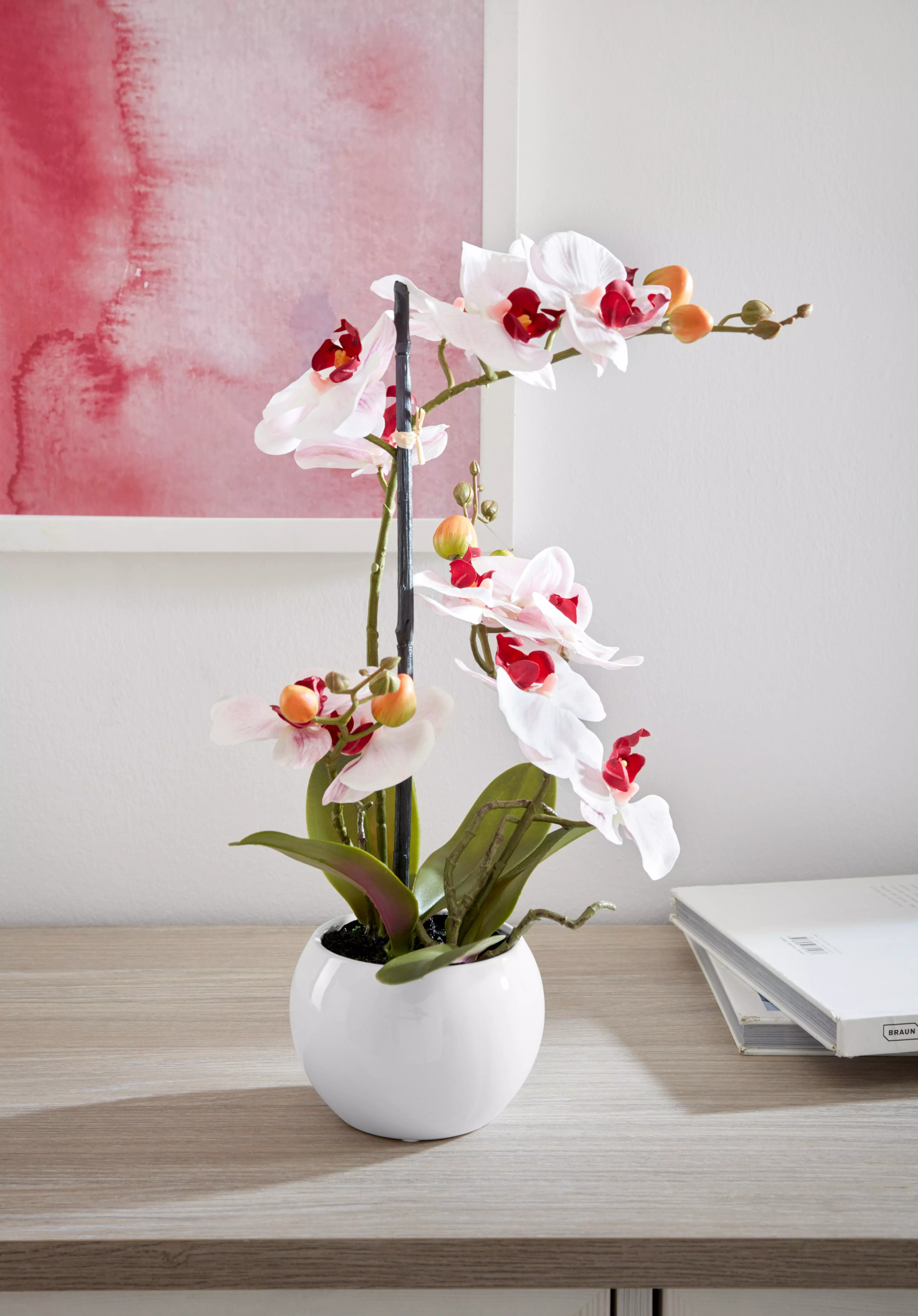 Kunstorchidee Ernestine Orchidee, DELAVITA, Höhe 42 cm, Kunstpflanze, im Topf