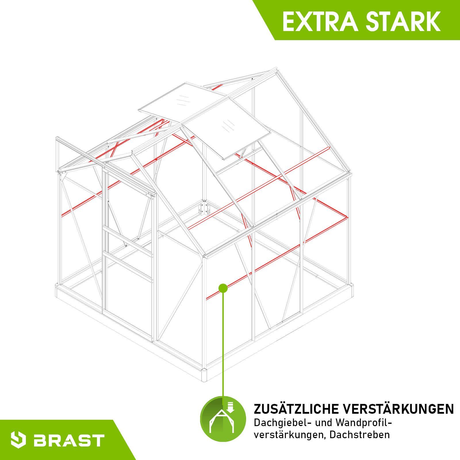 BRAST Gewächshaus ALU mit Fundament rostfrei 190x190x195cm TÜV geprüft, wetterfestes hochwertiges Aluminium